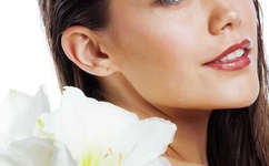 女人不哭电视剧全集